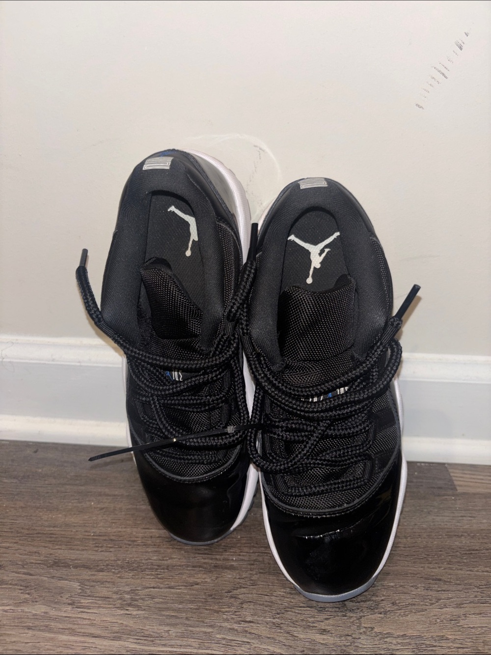 Air Jordan 11s low top